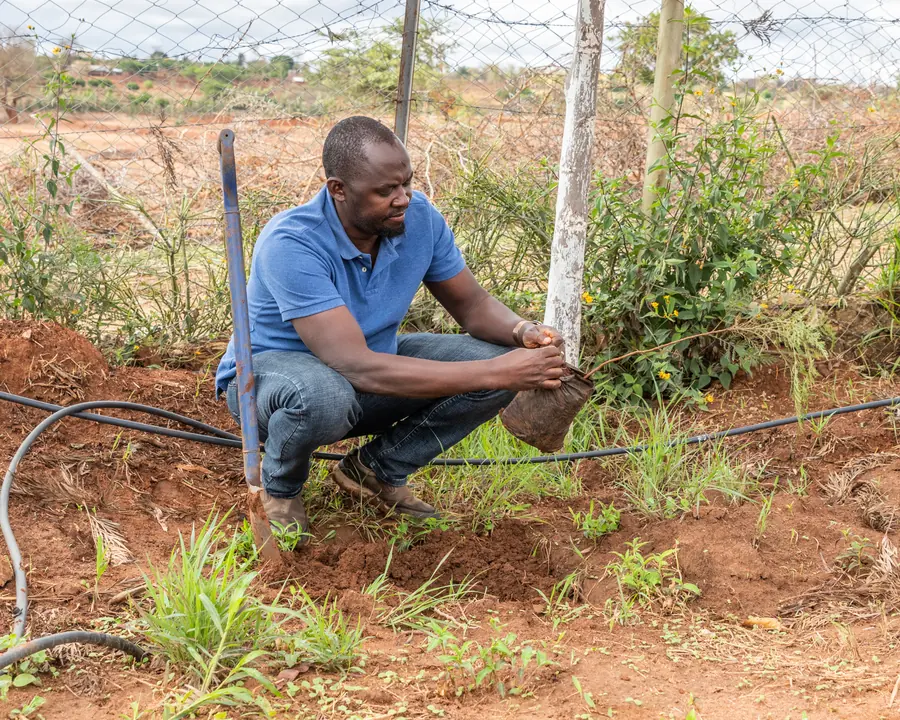 Drip irrigation installation